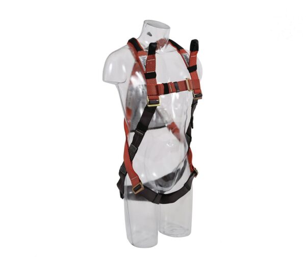Hi-Safe Full Body Harness FH50