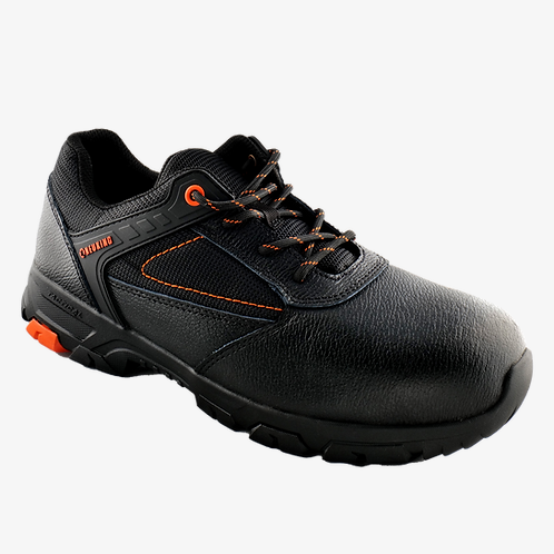 NEUKING NKR50
